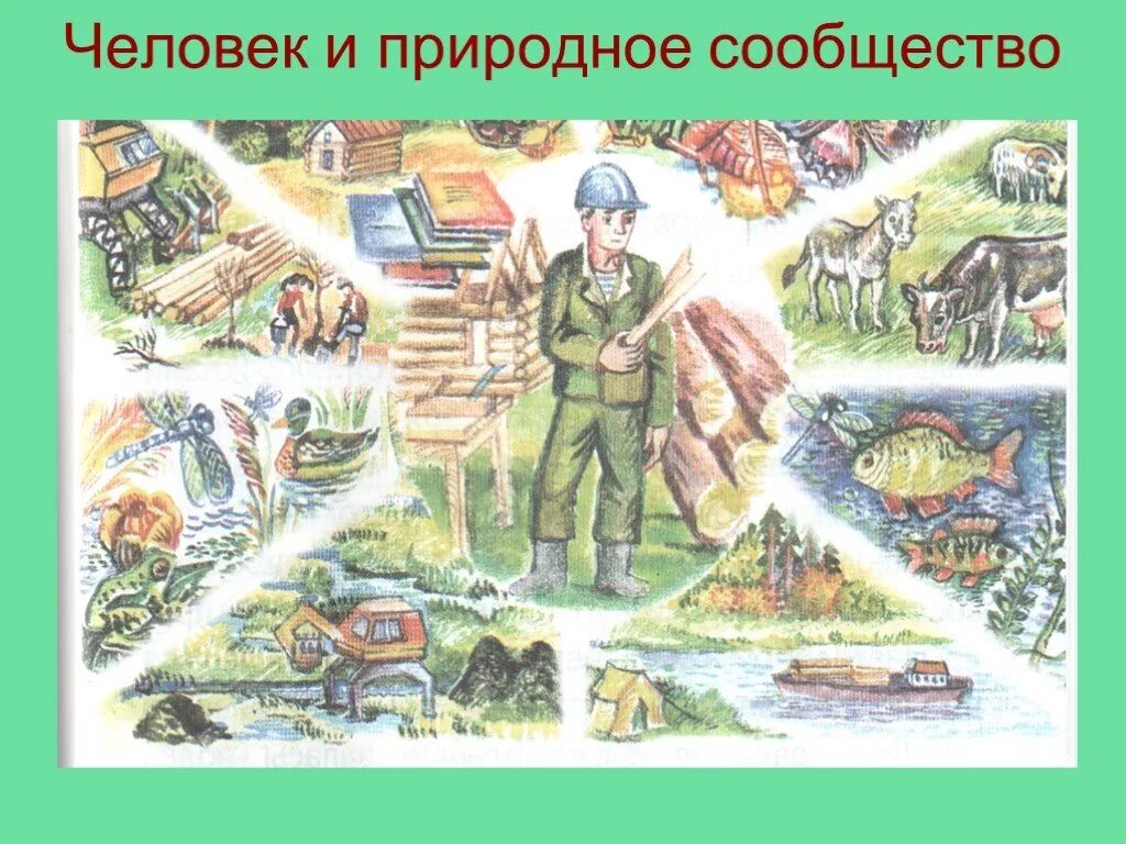 Воздействие человека на природное сообщество. Природные сообщества. Природные сообщества, природа и человек. Картины с изображением природных сообществ. Человек и природные сообщества 3 класс окружающий мир.