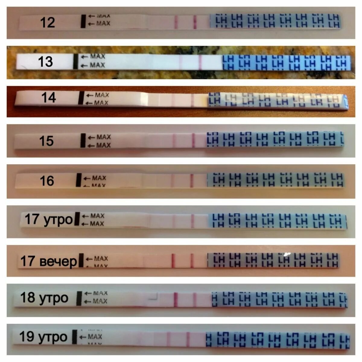 Тест на беременность утром и вечером. Тест на овуляцию утро вечер. Тесты на беременность по дням. Динамика тестов на беременность утро вечер.