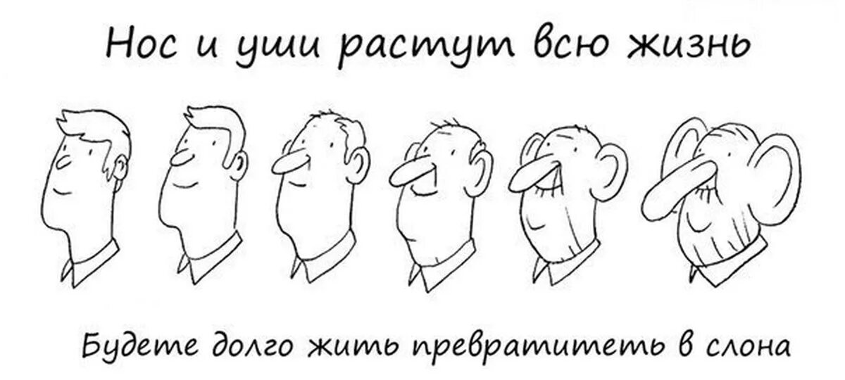 Рост носа в год. Нос и уши растут всю жизнь. Уши растут всю жизнь у человека. Уши и нос растут всю жизнь у человека.