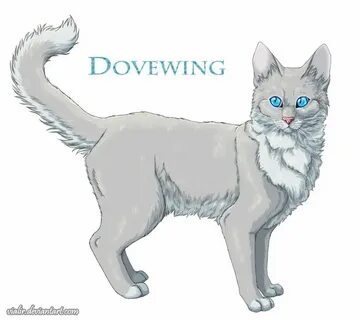 Коты воители голубка
