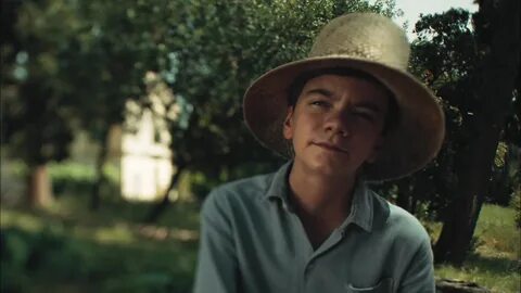 Personal Blog: The Durrells.