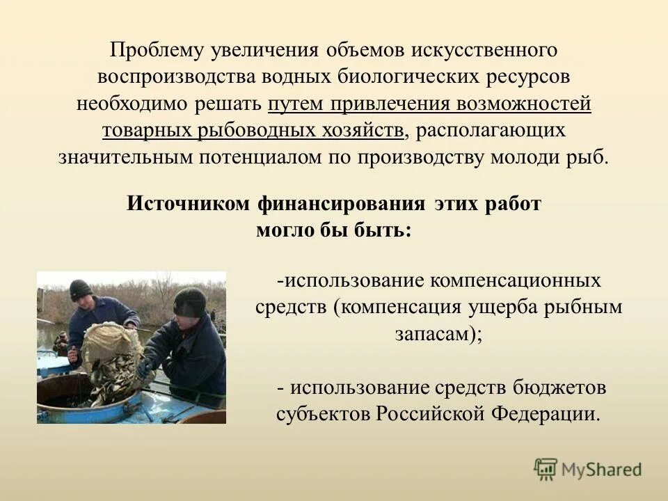 искусственное воспроизводство водных биологических ресурсов. искусственное воспроизводство водных биологических ресурсов. искусственное воспроизводство это экология. река уса коми рыбалка. невский рыбоводный завод фгбу севзапрыбвод.