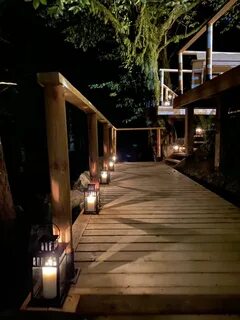 Forest spa