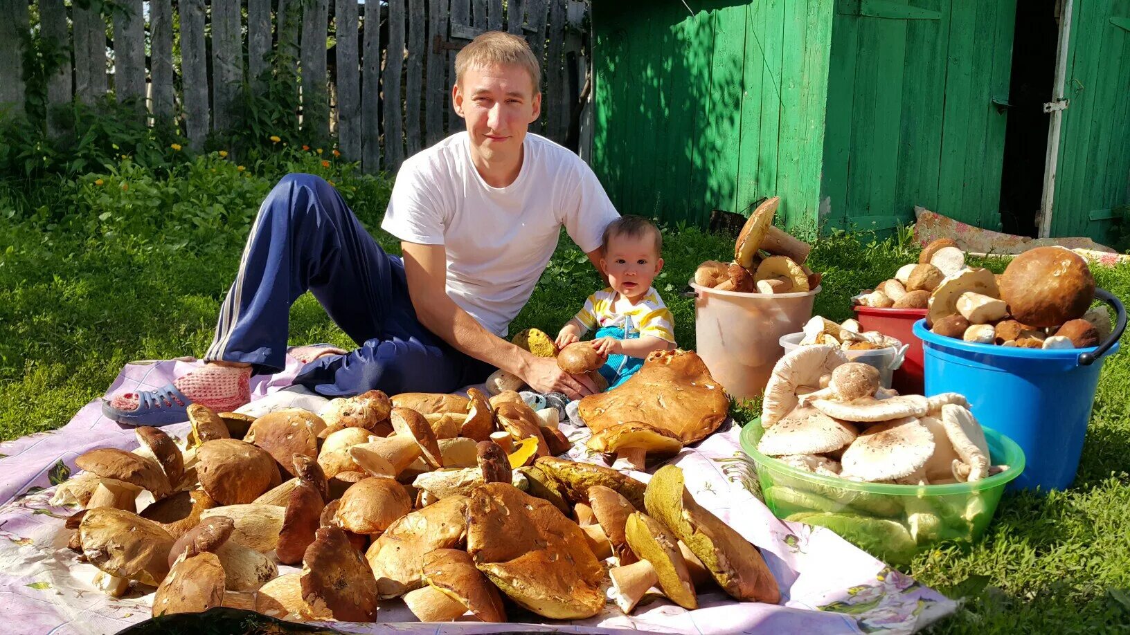 Грибники башкирии и уфы. Грибные места башкирии. грибы башкирии в лесу. боровиков грибы собрали в башкирии. грибники уфы.