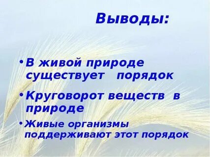 Природа почему хорошо