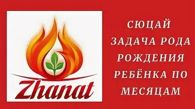 Сюцай 2