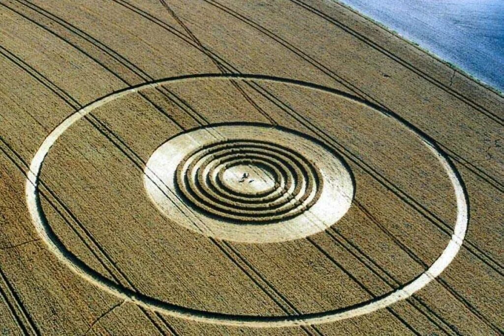 знаки на полях в россии. каменное колесо. круги луллия. круги на полях. круги на полях австралия.