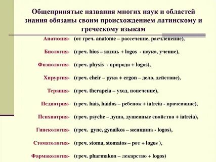 Энтерос перевод с латинского