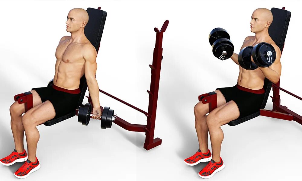 Curl на русском. Incline Bench Dumbbell Curl. Slight Incline Seated DB Curls. Сгибания на бицепс с жимом гантелей. Подъем гантелей на бицепс сидя на наклонной скамье.