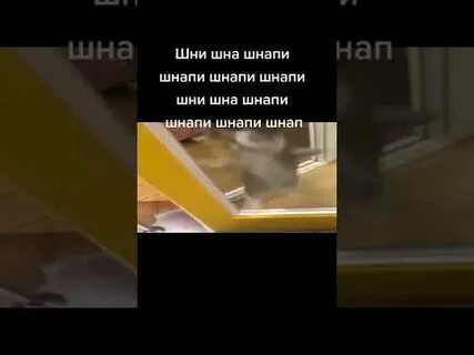 Шни шна шнапи 1 час
