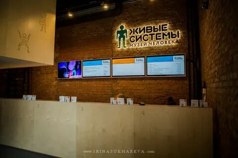 Музей человека живые