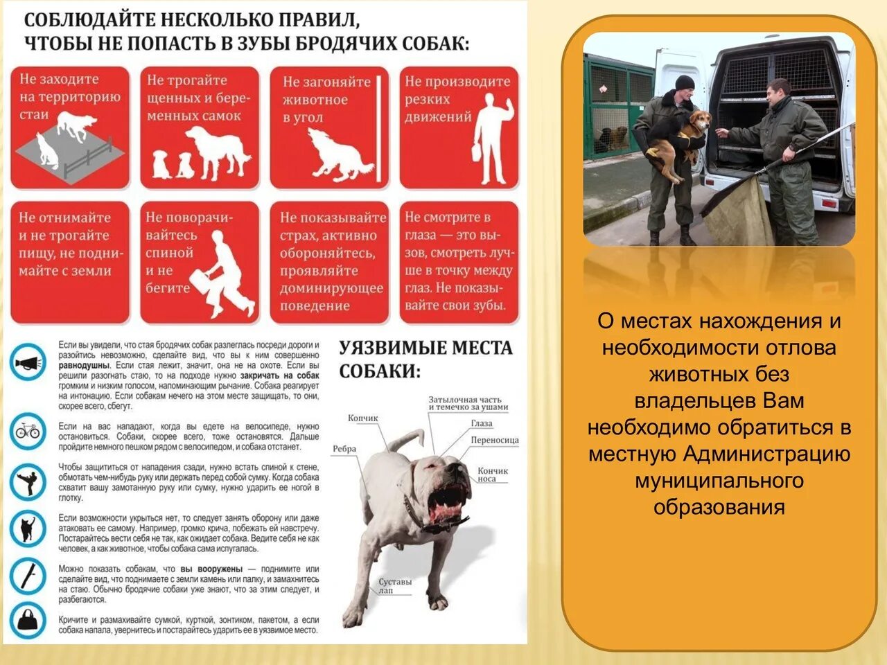 Содержание ответственный
