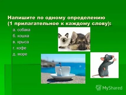 Кошачью прилагательное