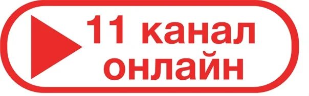 Канал 11 7. 11 Канал Пенза прямой эфир. Телеканал наш дом Пенза. ТРК наш дом 11 канал Пенза. Пенза 11 канал лого.