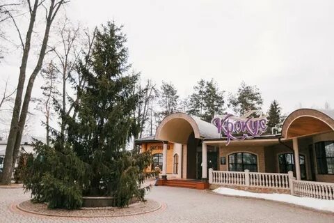 Отзывы крокуса калуга