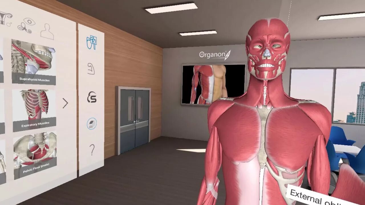 3d Organon VR Anatomy. 4. 3d Organon VR Anatomy. 3d Organon VR Anatomy приложение.