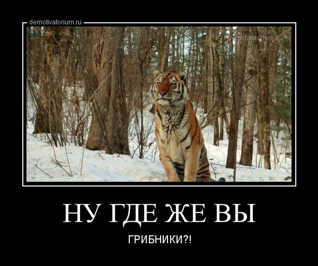 демотиватор где. грей демотиваторы. икеа придумывает названия. шутки про деревню. армения демотиватор.