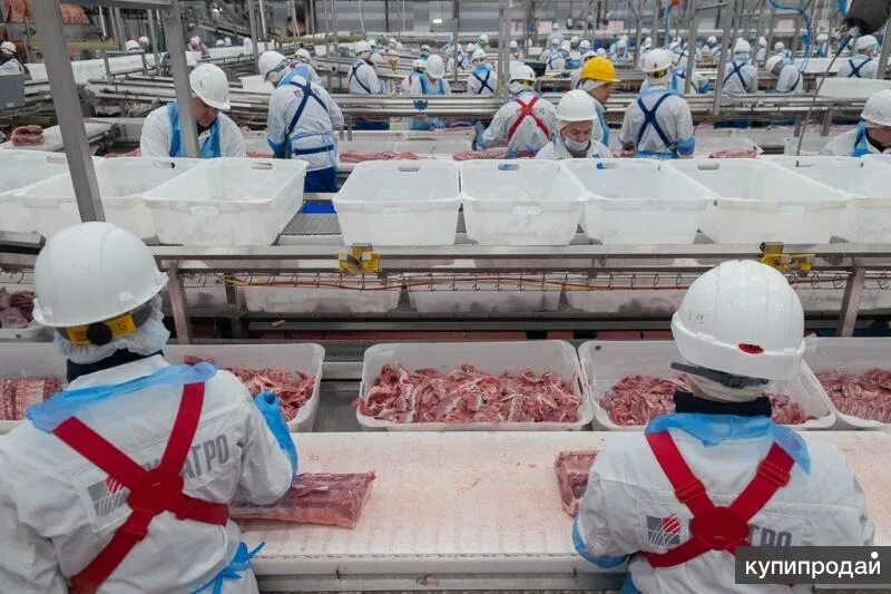 фасовка и упаковка готовой продукции. работница цеха. комплектовщик. владивостокская кондитерская фабрика приморский. упаковщица женщина санкт петербург.