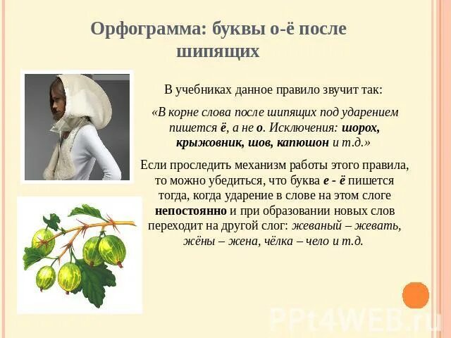 Слова исключения крыжовник капюшон. Крыжовник шорох шов капюшон исключения. Крыжовник шорох шов капюшон исключения. Шомпол шов капюшон крыжовник. Серебряный слово исключение.