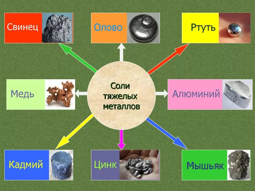 Тяжелые металлы. Тяжелые металлы в пище. Соли тяжелых металлов в организме. Соединения тяжелых металлов. Что тяжелее ртути