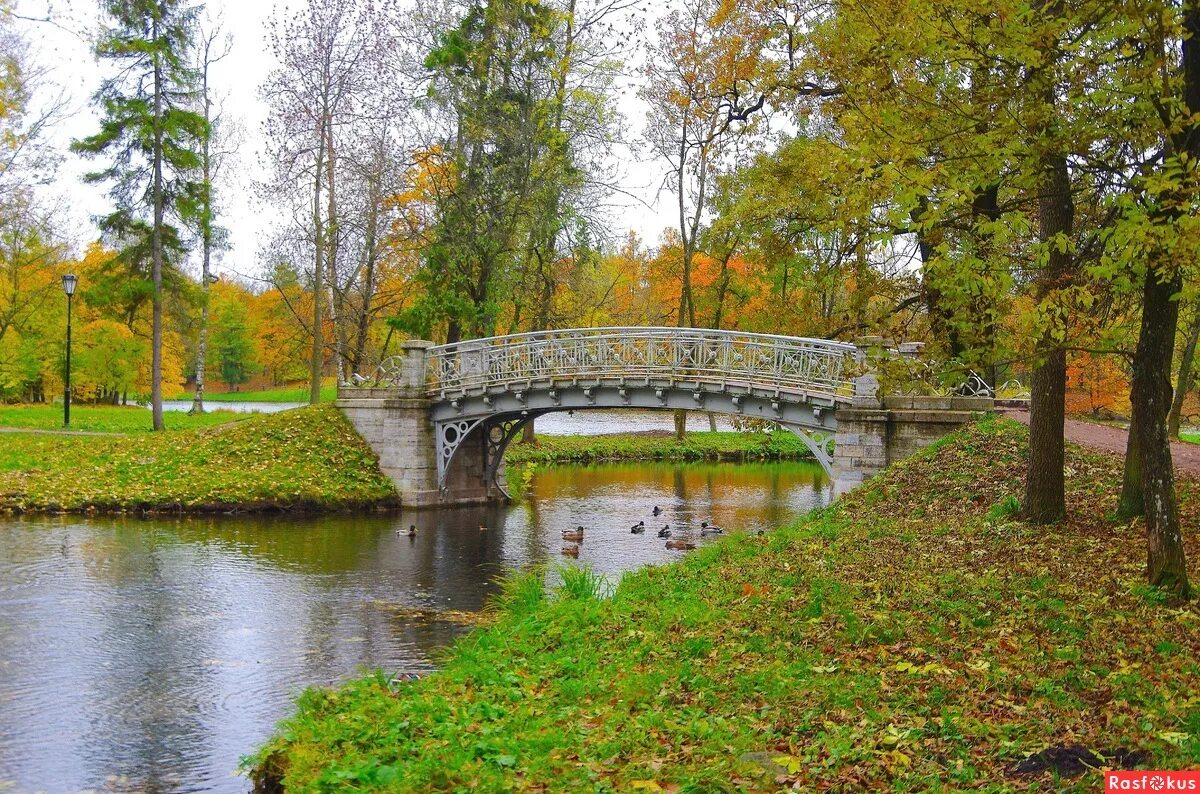Парки гатчины. Дворцовский парк гатчина. Гатчина парк. Гатчина парк май. Парка гатчина.