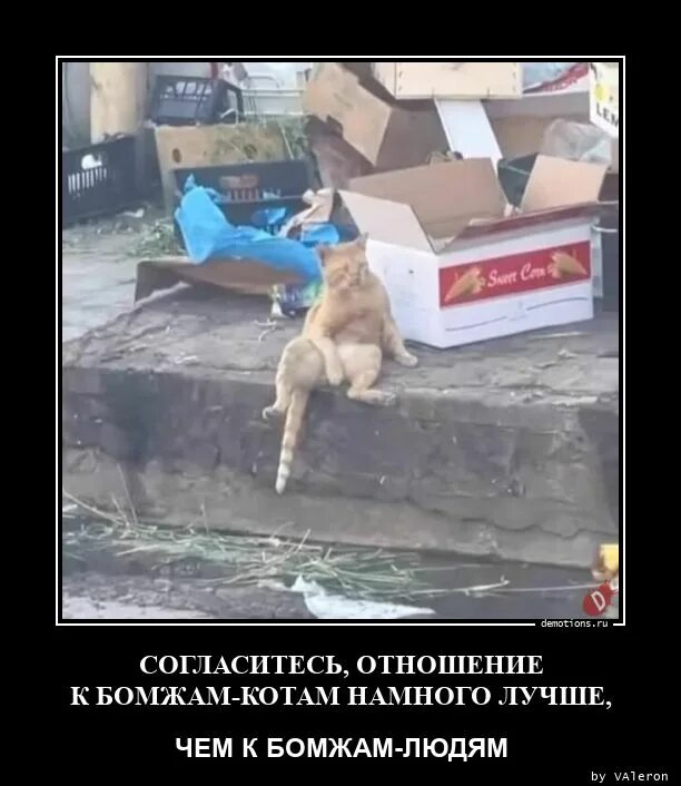 Расставание. Близкие отношения. Соглашаясь на меньшее. Кто в вашем фандоме. Фразы про отношения.