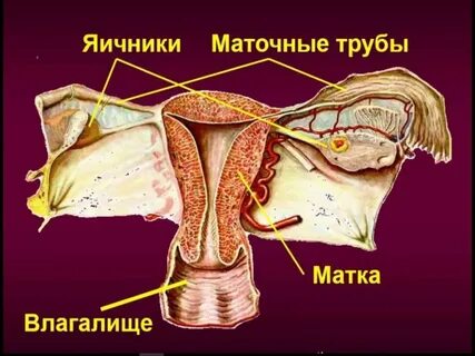 Шұлықтағы қара әйелдермен порно