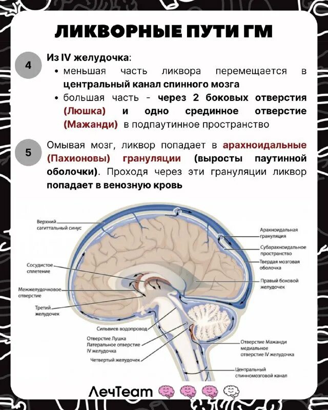 Наружные и внутренних ликворных пространств. Наружные и внутренних ликворных пространств