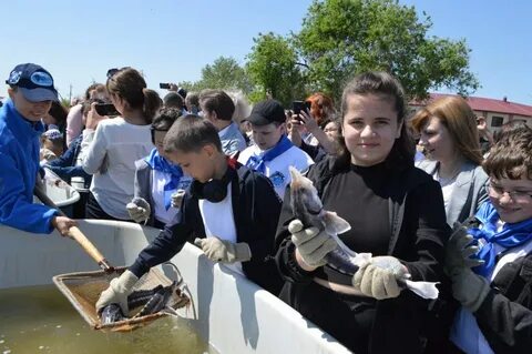 Погода в икряном сегодня