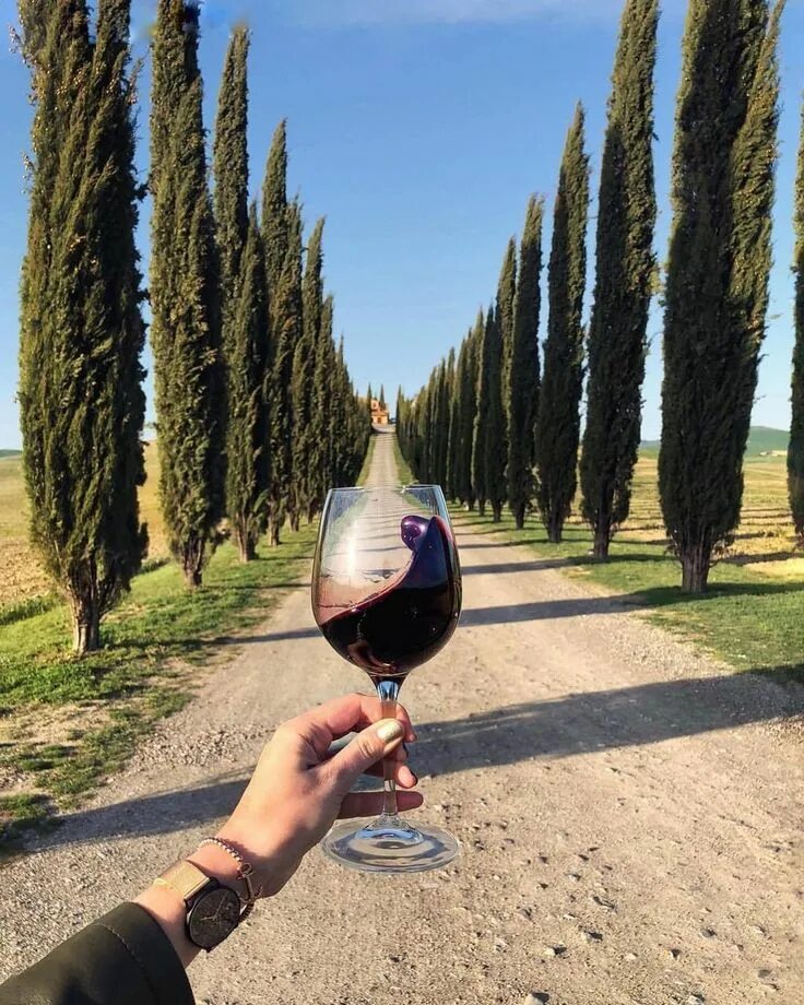 Relax in Napa, California Wine country california, Wine, Wine country