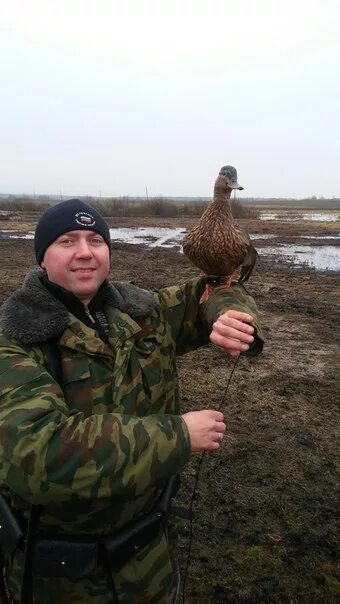 Деревня коростовицы. Погода в госткино. Деревня коростовицы. Погода в госткино. Моровино.