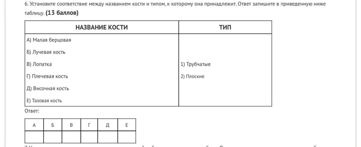 Установите соответствие между заголовками a g. Установите соответствие. ответ запишите в приведённую ниже таблицу.. установите соответствие ответ запишите в таблицу. установите соответствие название костей. установите соответствие ответ.