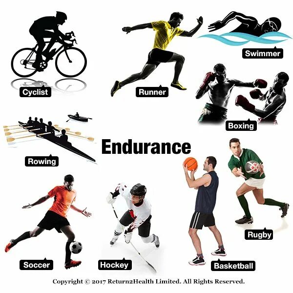 Various kinds of sports. Endurance Sports. Endurance фирма. Endurance in Sport. Cycle Endurance.