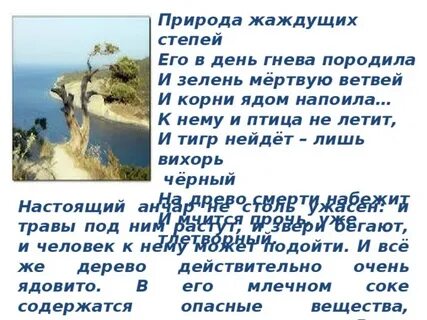 Жаждущих степей