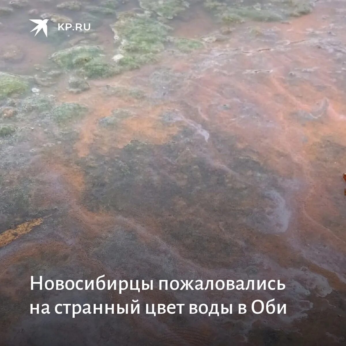 Какая вода в оби. Вода пахнет мазутом. Цвет воды в Оби. Вода в Оби продолжает прибывать.