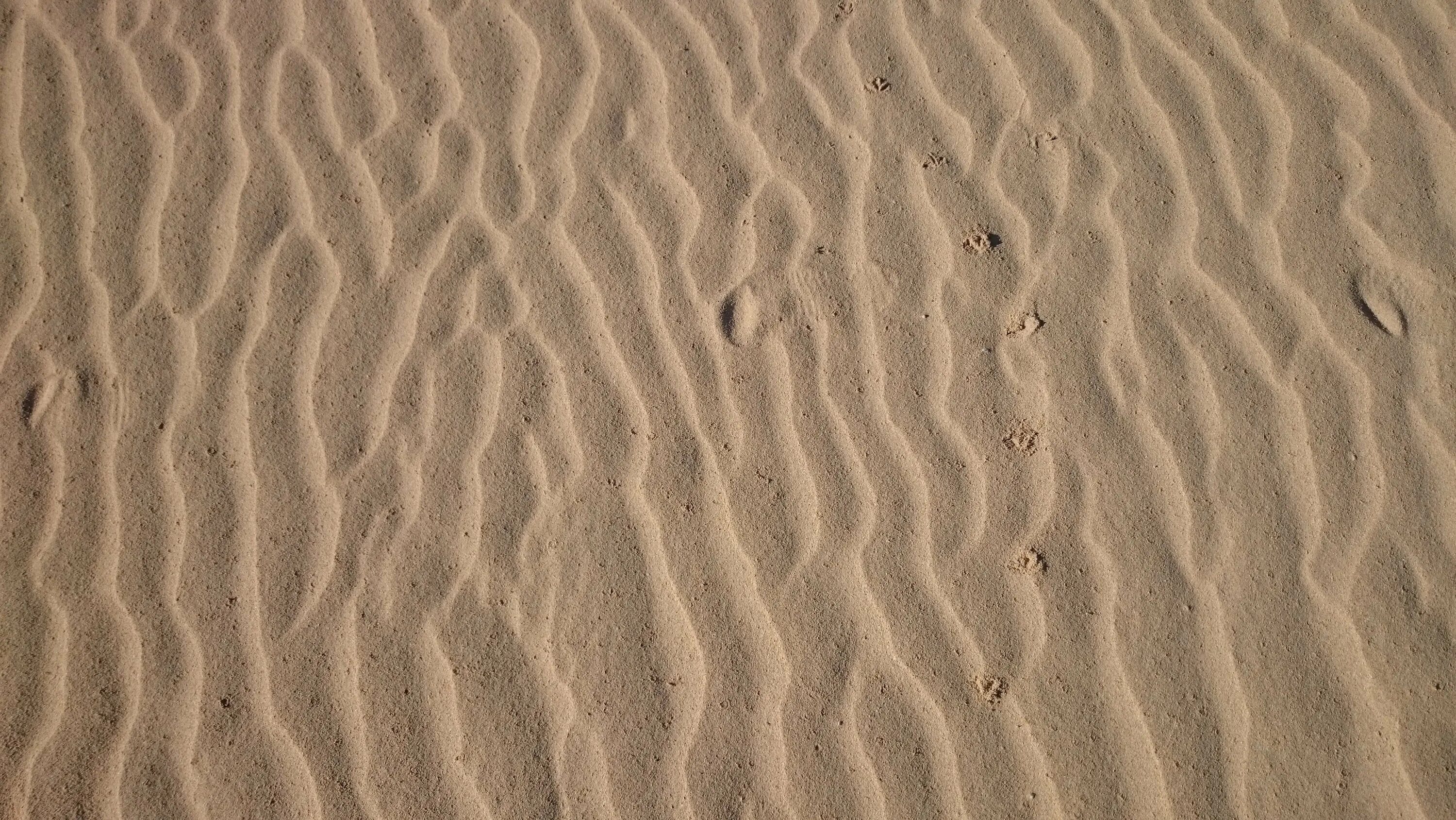 Sand top. Beach sand top view. Санд беач. Песок текстура. Песочный фон.