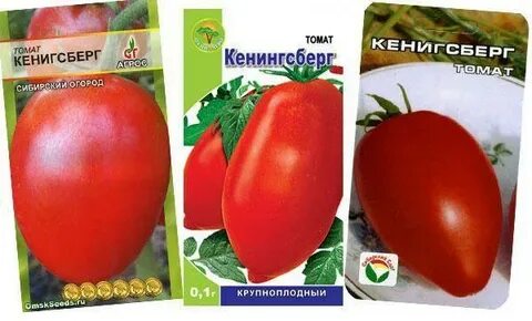 Кенигсберг томат описание сорта характеристика фото отзывы