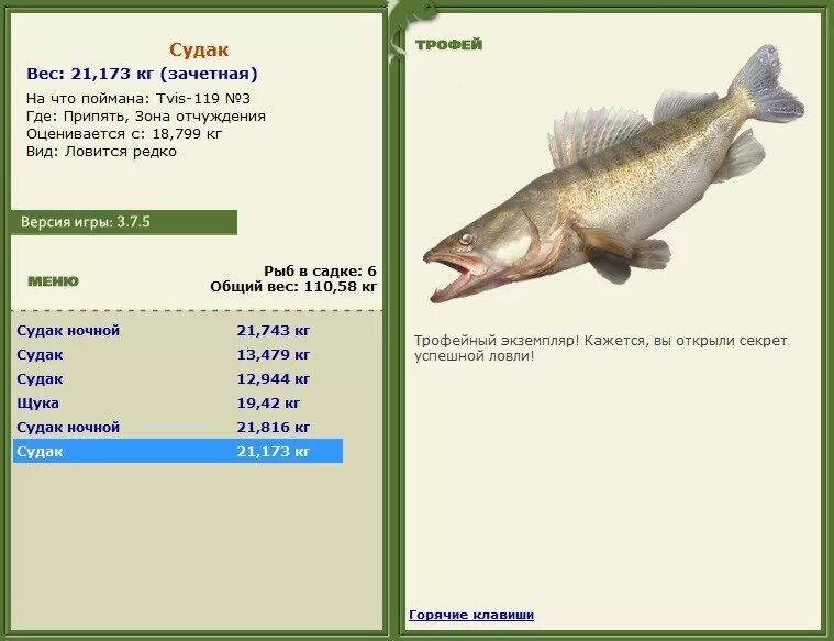 какой вес судака. объемный вес рыбы. судак рыба вес. судак размеры. какой вес судака.