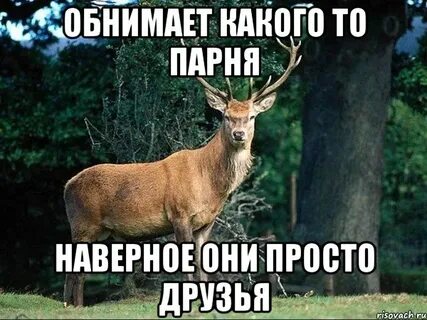 Это просто друг