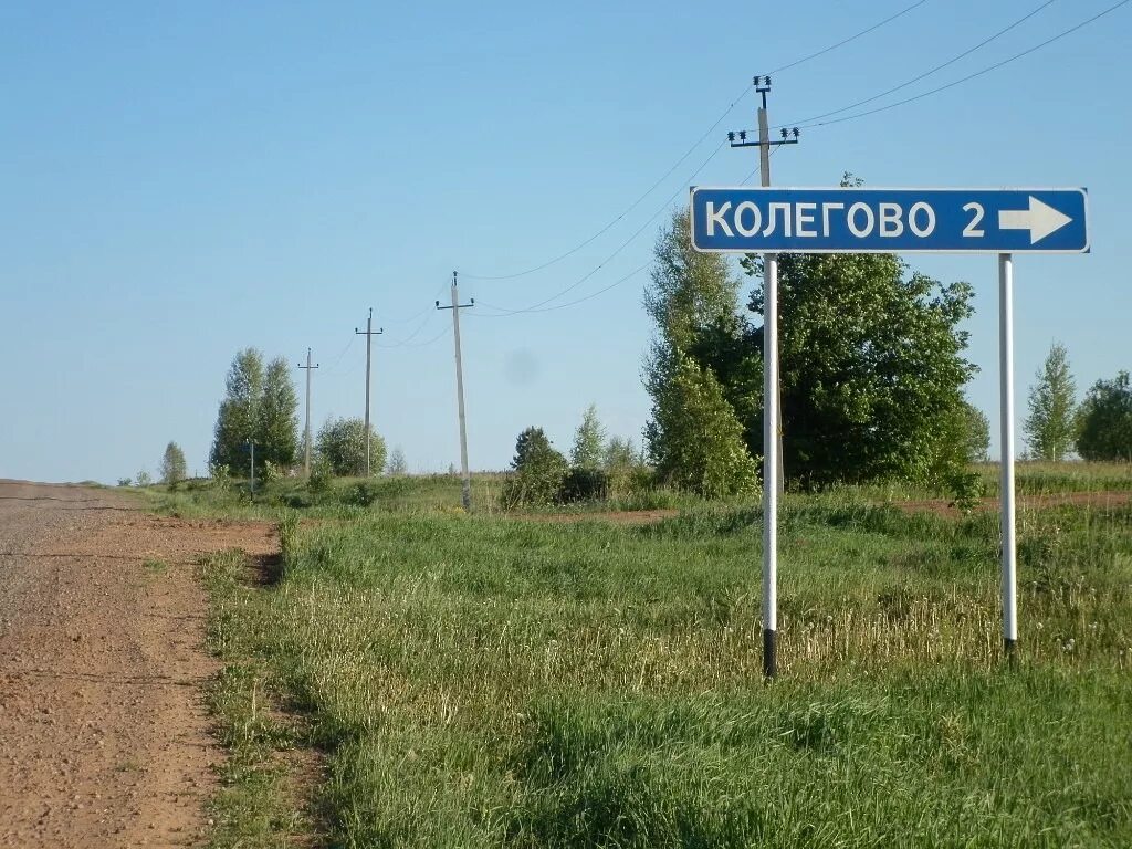 Погода в больших кустах куединского. Деревня Колегово Куединского района. Большая Уса Куединский район Пермский край. Село большие кусты Куединский район Пермский край. Деревня дойная Куединского района Пермского края.