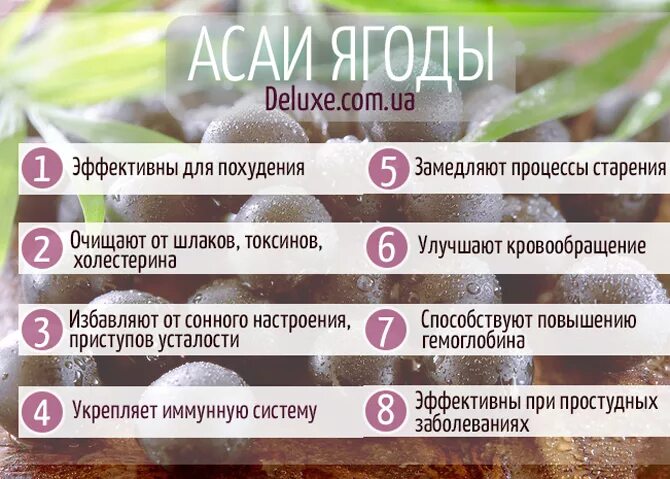 Ягоды асаи. Свойства асаи. Антиоксиданты таблица асаи. Ягоды асаи лр. Ягода асаи полезные.