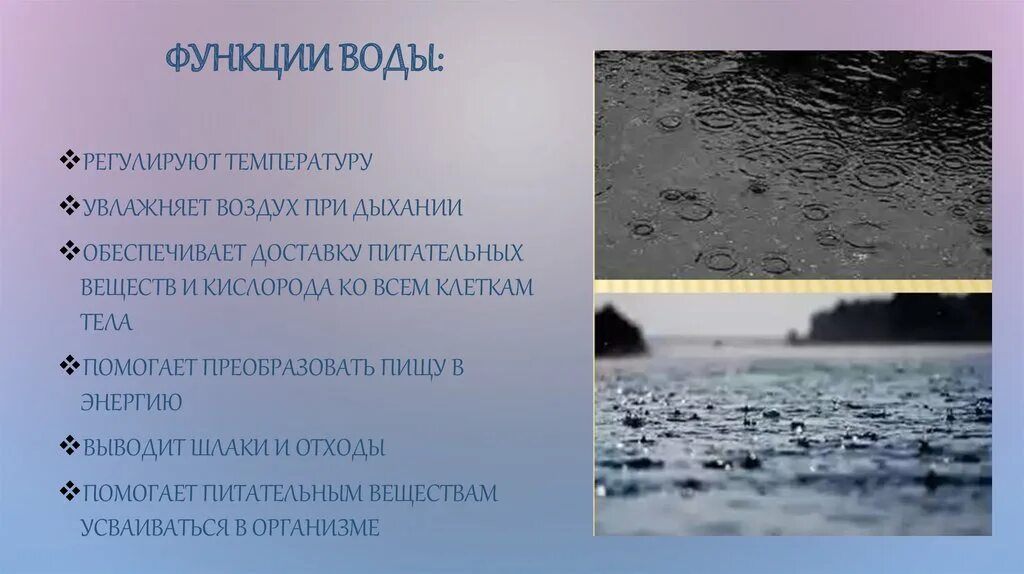 Функции воды. Главная функция воды. Функции воды в организме. Функции воды в живых организмах.