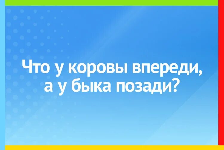 Что у коровы впереди а у быка. Что у коровы впереди а у быка