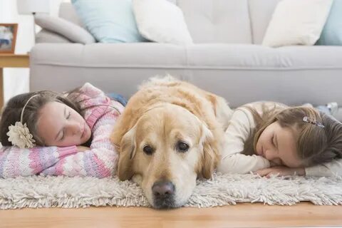 Pet sister