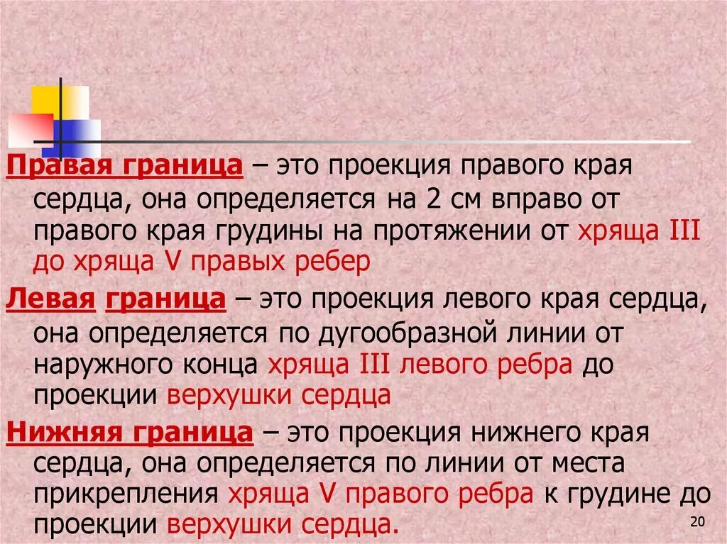 Вправо от какого слова. Правая граница сердца на 3 см вправо.