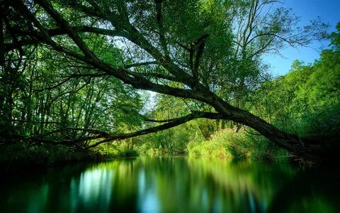 Обои на весь экран природа