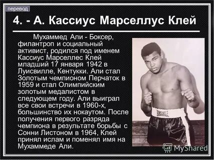 Рассказ боксер