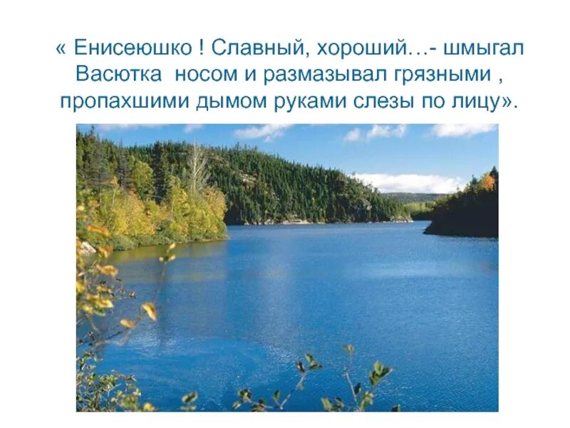 Васюткино озеро где оно. Енисей Васюткино озеро. Низовья Енисея Васюткино озеро. Енисей река Васюткино озеро. Васюткино озеро озеро карта.