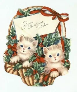 Cats cards