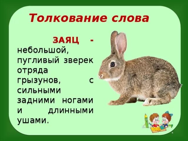 Заяц подобрать прилагательное. Значение слова заяц. Обозначение слова заяц это. Словарная статья заяц. Зайчик краткая информация.